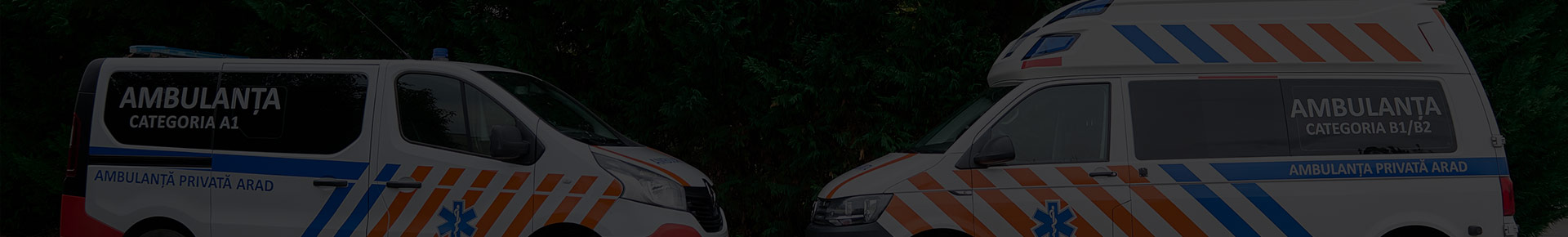 ambulanta privata arad